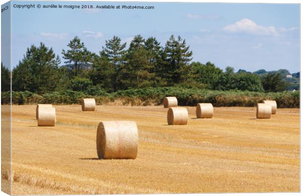 Straw bales in a field Canvas Print by aurélie le moigne