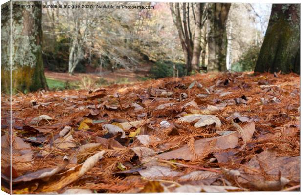 Dead leaves in a forest Canvas Print by aurélie le moigne