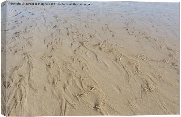 Water flowing on the sand Canvas Print by aurélie le moigne
