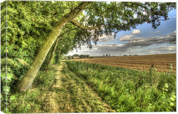 Country Footpath Canvas Print by Oliver Porter