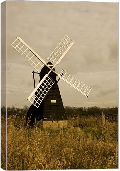 Ageing Windmill  Canvas Print by Oliver Porter