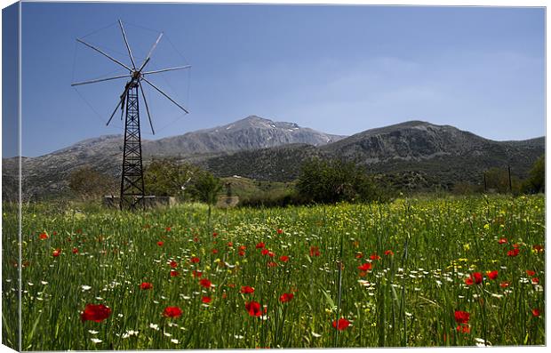 Lasithi Plateau Canvas Print by Oliver Porter