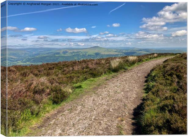 Scenic Mountain Walk Canvas Print by Angharad Morgan