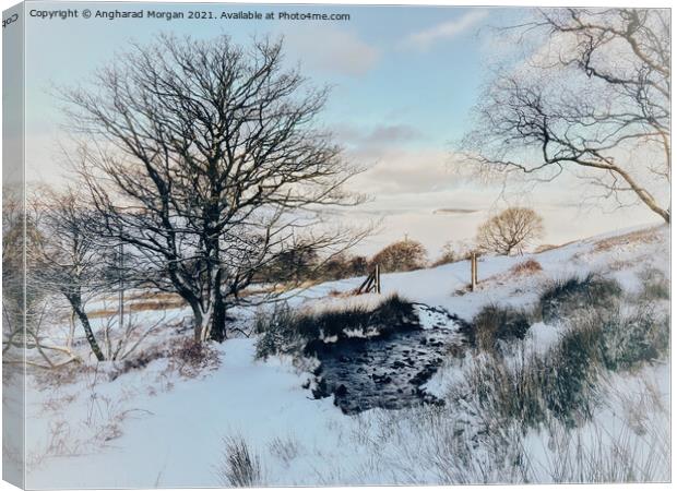 Winter landscape Canvas Print by Angharad Morgan