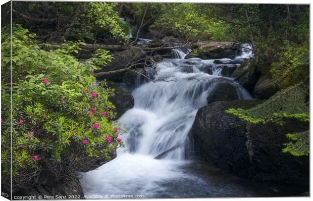 Waterfall at La Vall de Sorteny Naturtal Park, Andorra Canvas Print by Pere Sanz