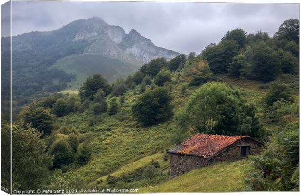 Beautiful Countryside Landscape at Picos devEuropa Canvas Print by Pere Sanz
