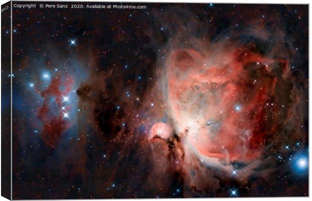 The Great Orion Nebula Canvas Print by Pere Sanz