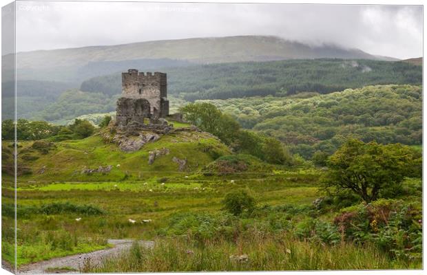 dolwyddelan  castle in Snowdonia,  wales  Canvas Print by Pere Sanz