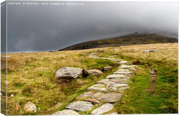 Stone path in the mountains of snowdonia, Wales Canvas Print by Pere Sanz