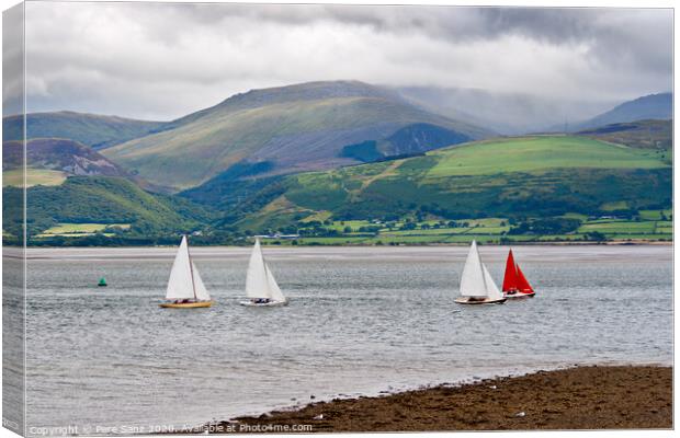 Sailboats in Anglesey, Wales Canvas Print by Pere Sanz