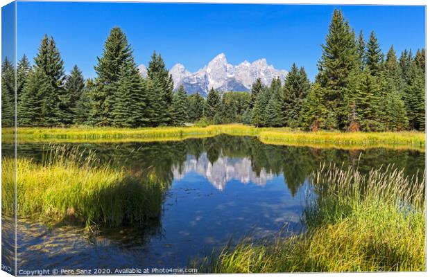Schwabacher landing with its reflection. Grand Teton national park, WY, USA Canvas Print by Pere Sanz