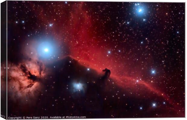 Horsehead Nebula and Flaming Tree  in the Constellation Orion Canvas Print by Pere Sanz