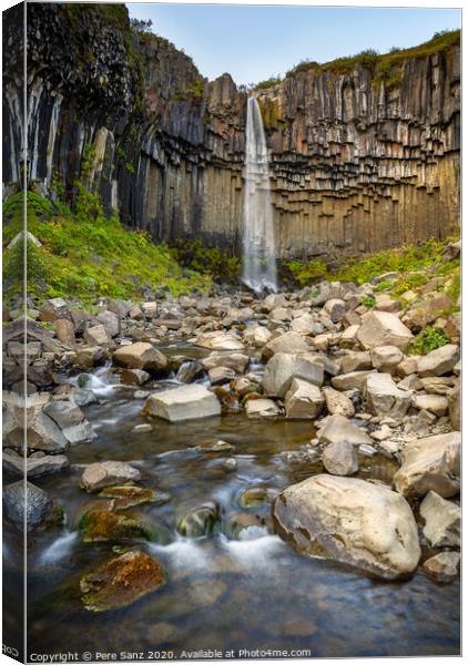 Svartifoss waterfall  in Iceland Canvas Print by Pere Sanz