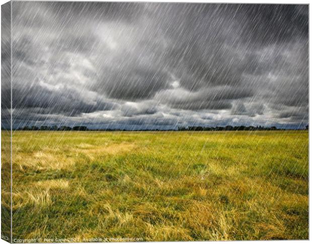Heavy Rain over a prairie in Brittany, France Canvas Print by Pere Sanz