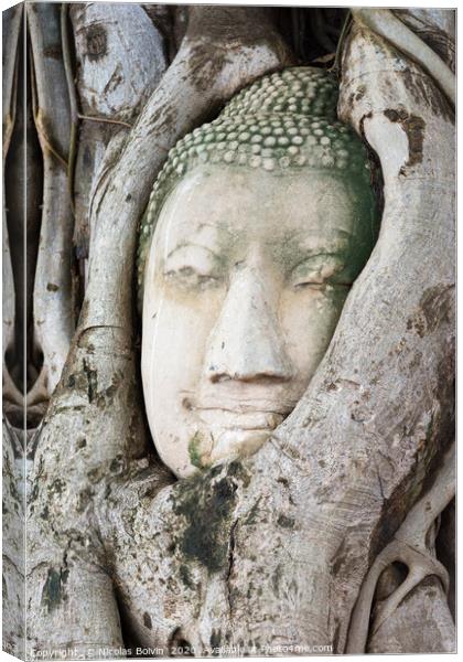 Head of sandstone Buddha in the tree roots Canvas Print by Nicolas Boivin