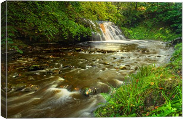 Hamsterley forest waterfall Canvas Print by Kevin Winter