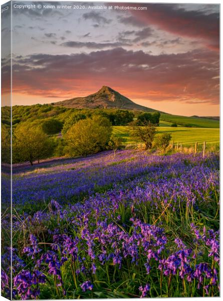 Carpet of Bluebells by Roseberry Topping Canvas Print by Kevin Winter