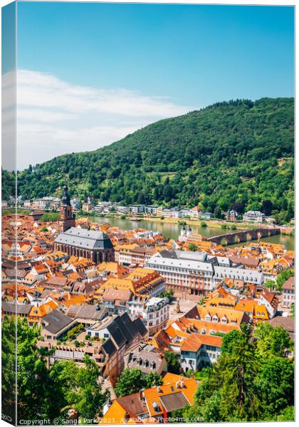 Panorama view of Heidelberg old town Canvas Print by Sanga Park