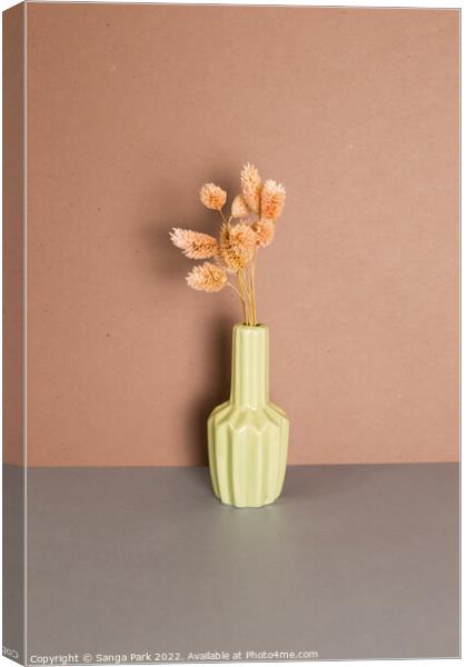 Vase of pink dry flower Canvas Print by Sanga Park