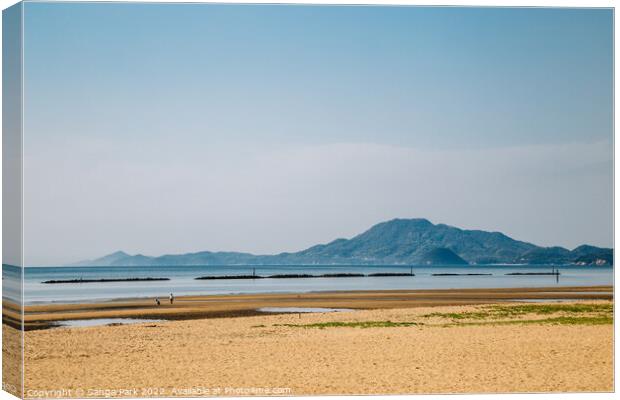 Ariakehama Beach in Japan Canvas Print by Sanga Park