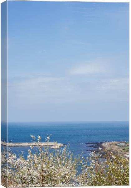 Sea and flower in Jeju island Canvas Print by Sanga Park