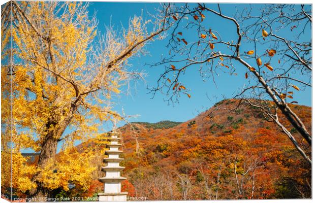 Korean old temple and autumn mountain Canvas Print by Sanga Park