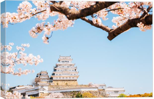 Himeji castle with cherry blossoms Canvas Print by Sanga Park