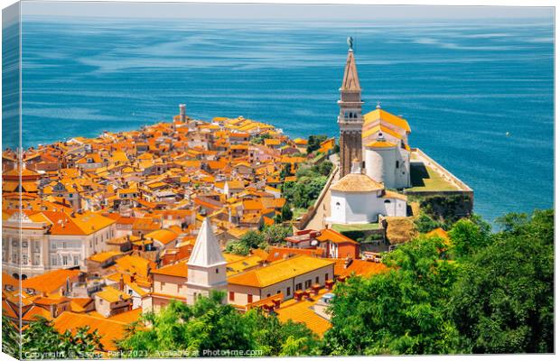 Piran old town and Adriatic sea Canvas Print by Sanga Park