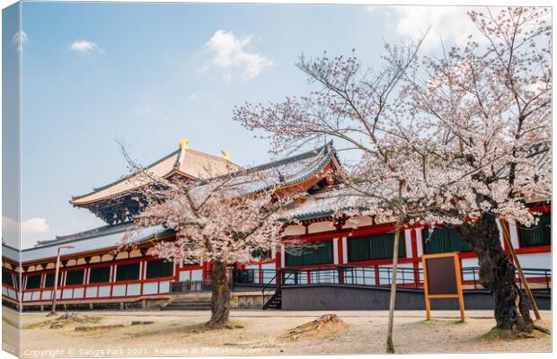 Todai-ji temple with cherry blossom Canvas Print by Sanga Park