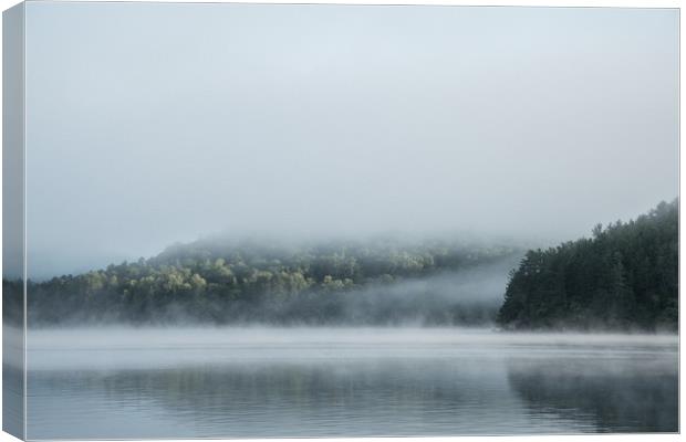 Summer Awaken II Canvas Print by Blok Photo 