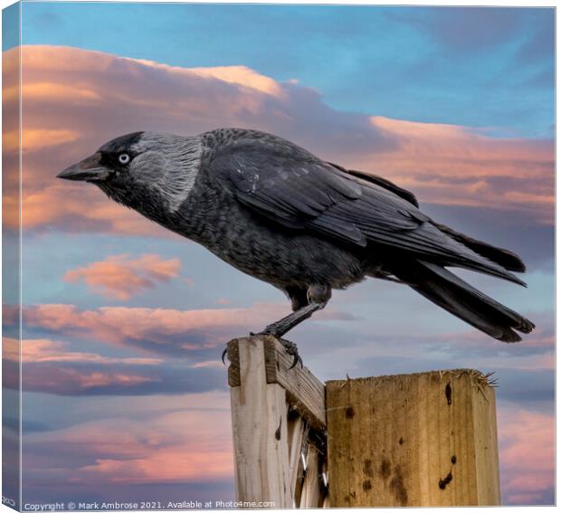 Outdoor  Canvas Print by Mark Ambrose