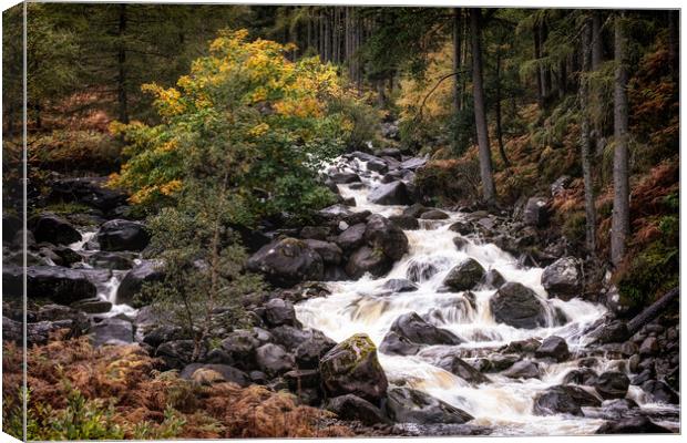 Scottish River tumbling over rocks Canvas Print by Roger Daniel