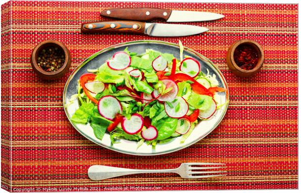 Summer vitamin salad on a metal plate Canvas Print by Mykola Lunov Mykola