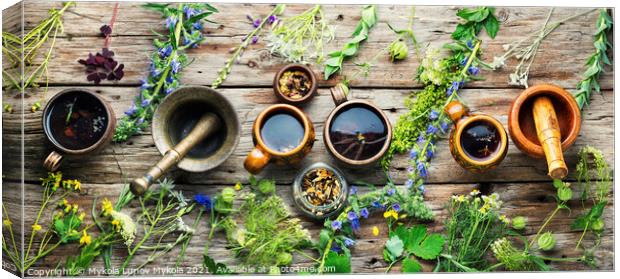 Herbal flower tea and plants Canvas Print by Mykola Lunov Mykola