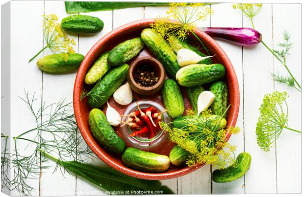 Homemade cucumber pickling and ingredients Canvas Print by Mykola Lunov Mykola