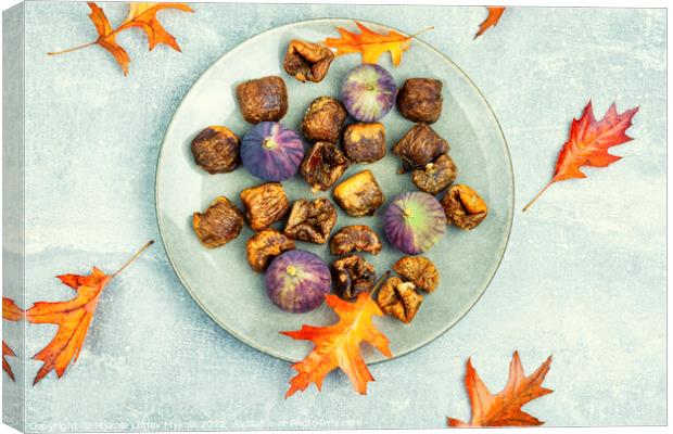Dried and fresh figs, autumnal dessert Canvas Print by Mykola Lunov Mykola