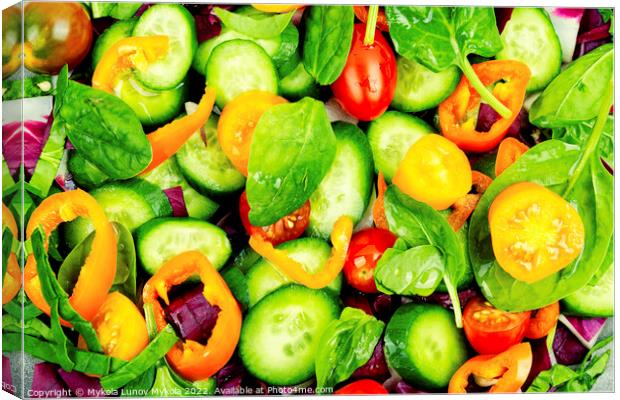 Natural vegetable salad, food background Canvas Print by Mykola Lunov Mykola