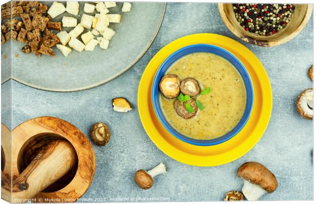 Bowl with mushroom soup Canvas Print by Mykola Lunov Mykola