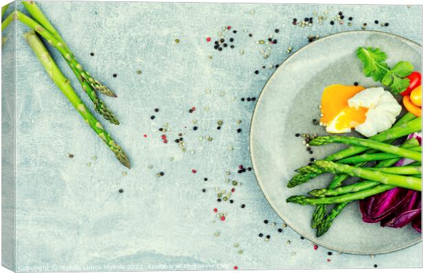 Vegetable salad with poached egg Canvas Print by Mykola Lunov Mykola