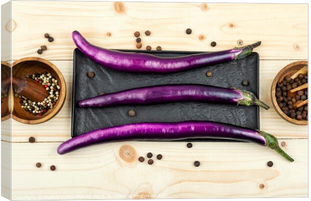 Small fresh purple eggplants Canvas Print by Mykola Lunov Mykola