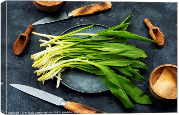 Ramson, bunch of wild garlic Canvas Print by Mykola Lunov Mykola