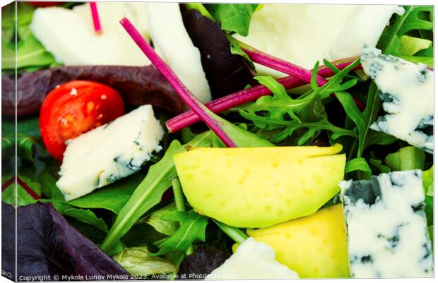 Fresh vegetable salad with cheese Canvas Print by Mykola Lunov Mykola