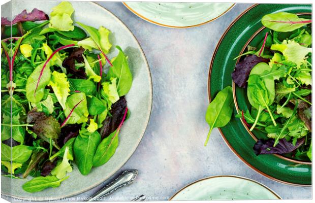 Greens raw salad, healthy eating. Canvas Print by Mykola Lunov Mykola