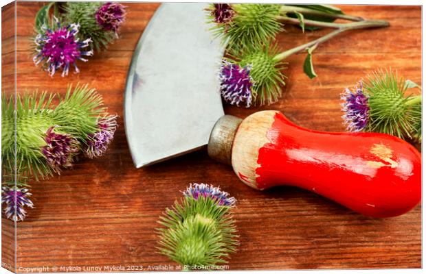 Prickly heads of burdock flowers Canvas Print by Mykola Lunov Mykola