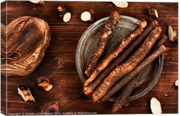 Raw salsify in herbal medicine, salsify roots. Canvas Print by Mykola Lunov Mykola