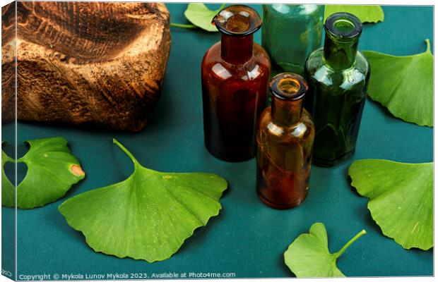 Ginkgo biloba leaves, homeopathy concept Canvas Print by Mykola Lunov Mykola