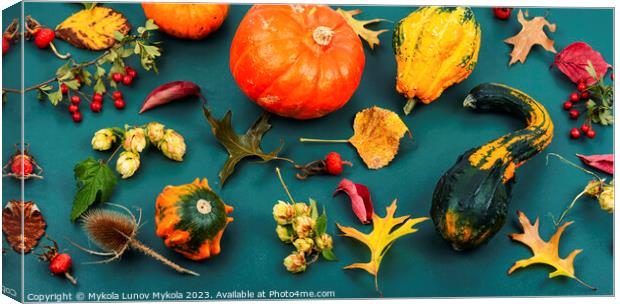 Autumn herbarium and pumpkins Canvas Print by Mykola Lunov Mykola