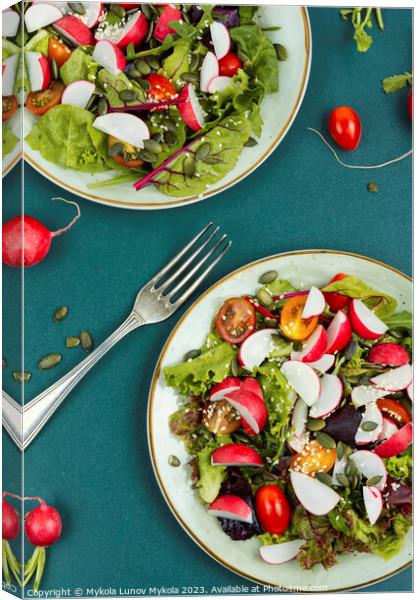 Salad, healthy vegan lunch. Canvas Print by Mykola Lunov Mykola
