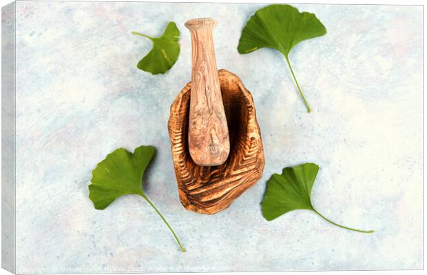 Ginkgo biloba leaves, medicines. Canvas Print by Mykola Lunov Mykola