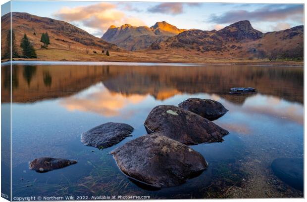 Alpine Glow over the Great Langdales Canvas Print by Northern Wild